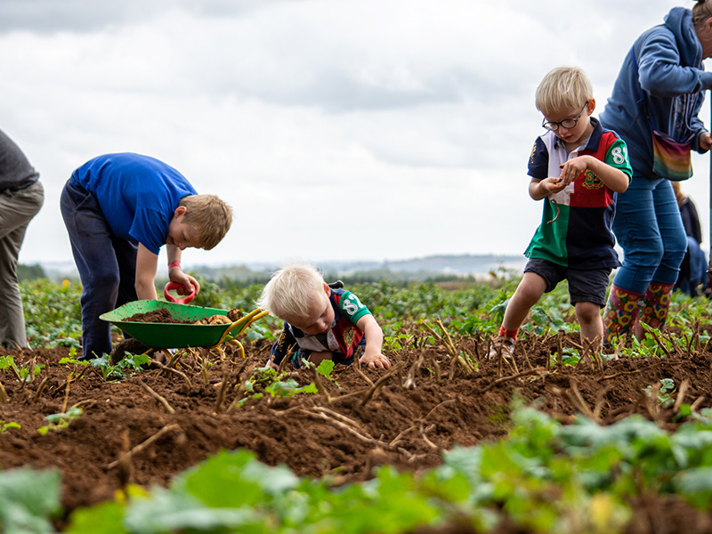 Events at Adam Henson's Cotswold Farm Park