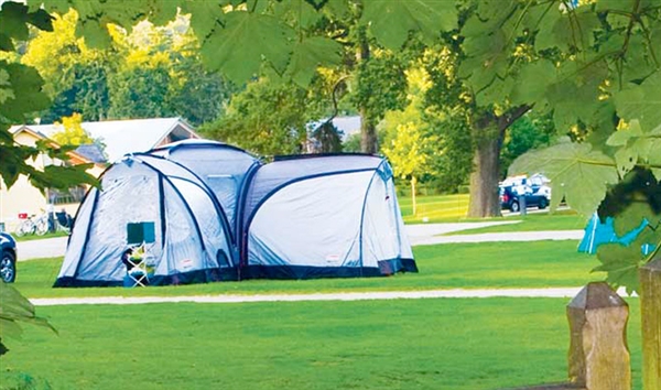 Whitemead Forest Park - Camping in the Forest of Dean