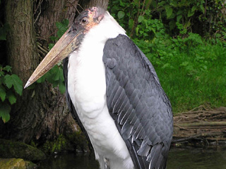 Halloween events in Gloucestershire