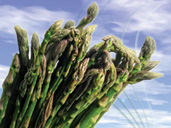 Primrose Vale & Over Farm Market selling fresh produce