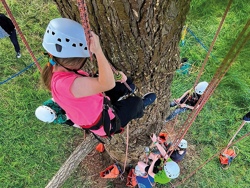 The Arb Show at Westonbirt Arboretum