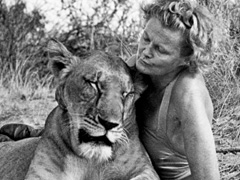 Charity exhibition of original work by Joy Adamson at Ellenborough Park