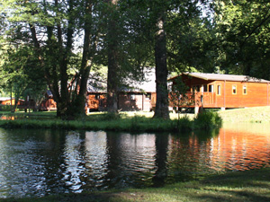 ACCOMMODATION REVIEW: A stay in a log cabin at Whitemead Forest Park