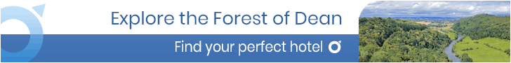 top rated hotels in the Forest of Dean