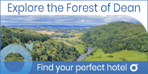 top rated hotels in the Forest of Dean