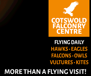 Things to do in the Cotswolds Days Out in Gloucestershire