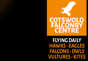 Things to do in the Cotswolds Days Out in Gloucestershire