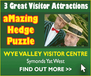Things to do in the Forest of Dean days out in Gloucestershire visitor attractions