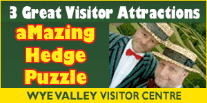 Things to do in the Forest of Dean days out in Gloucestershire visitor attractions