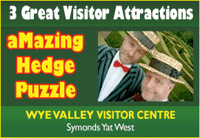 Things to do in the Forest of Dean days out in Gloucestershire visitor attractions
