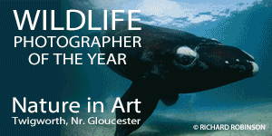 What's on in Gloucester things to do in Gloucestershire events