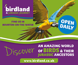 Birdland Park & Gardens in the Cotswolds