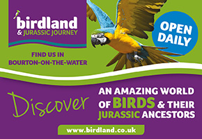 Birdland Park & Gardens in the Cotswolds