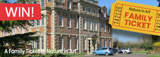 Gloucestershire Competitions - Click to view