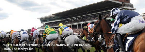 Cheltenham Whats On, Events and Places - Click to view