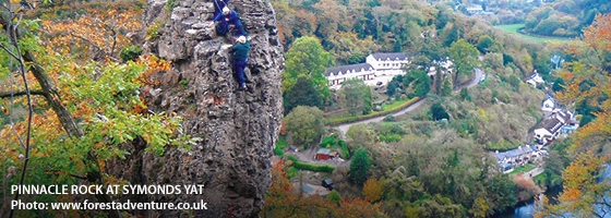 Forest of Dean Whats On, Events and Places - Click to view