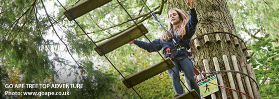 Forest of Dean Whats On, Events and Places - Click to view