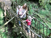 Puzzlewood